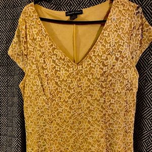 Beautiful Lace Dress size Women’s 1x